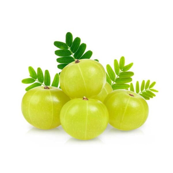 Indian Gooseberry / Amla Powder